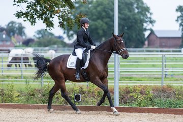 Bild 754 - Fuchshof Turnier